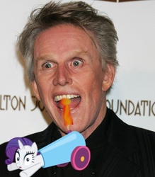 Size: 350x400 | Tagged: safe, rarity, human, pony, unicorn, g4, cannon, female, fire, gary busey, irl, irl human, male, mare, party cannon, photo, wat