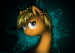 Size: 800x569 | Tagged: safe, artist:moonlightfl, oc, oc only, earth pony, pony, earring, solo