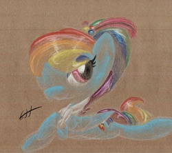 Size: 922x820 | Tagged: safe, artist:getchanoodlewet, rainbow dash, g4, female, solo