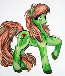 Size: 810x948 | Tagged: safe, artist:divinekitten, oc, oc only, oc:felicity rose, earth pony, pony, solo, traditional art