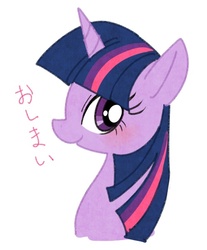 Size: 497x600 | Tagged: safe, artist:nmnkgskds, twilight sparkle, g4, female, japanese, pixiv, solo