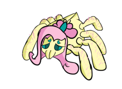 Size: 1146x833 | Tagged: safe, artist:brick, fluttershy, monster pony, original species, spider, spiderpony, g4, female, simple background, solo, species swap, spidershy, transparent background