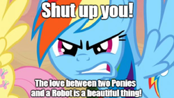 Size: 847x477 | Tagged: safe, fluttershy, rainbow dash, pegasus, pony, robot, g4, caption, female, image macro, implied polyamory, robosexual, robot fetish, text, two ponies a robot