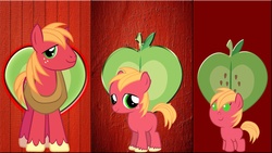 Size: 1920x1080 | Tagged: safe, artist:mr-kennedy92, big macintosh, earth pony, pony, g4, baby, baby macintosh, baby pony, collage, colt, colt big macintosh, cutie mark, foal, male, vector, wallpaper, younger