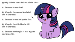 Size: 1194x668 | Tagged: safe, twilight sparkle, koala, pony, unicorn, g4, female, filly, filly twilight sparkle, filly twilight telling an offensive joke, foal, joke, meme, sitting, solo