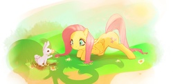 Size: 1200x584 | Tagged: safe, artist:mechagen, angel bunny, fluttershy, g4, flower, grass, outdoors