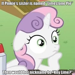 Size: 500x500 | Tagged: safe, edit, edited screencap, screencap, sweetie belle, g4, ponyville confidential, female, image macro, implied limestone pie, implied pinkie pie, meme, palindrome get, solo, sudden clarity sweetie belle
