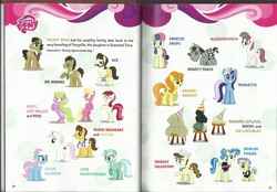 Size: 3507x2442 | Tagged: safe, ace point, allie way, blossomforth, bon bon, carrot top, daisy, doctor horse, doctor stable, filthy rich, flower wishes, golden harvest, lily, lily valley, lotus blossom, lyra heartstrings, madame leflour, minuette, nurse redheart, rocky, roseluck, sir lintsalot, smarty pants, strike, sweetie drops, earth pony, pegasus, pony, unicorn, g4, official, book, elements of harmony, facial hair, female, flower trio, male, mare, moustache, rearing, stallion, text