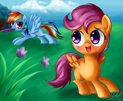 Size: 2000x1636 | Tagged: safe, artist:zorbitas, rainbow dash, scootaloo, pegasus, pony, g4, duo, duo female, female, flower, frisbee, grass, playing, scootalove