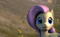 Size: 1280x800 | Tagged: safe, artist:whrrlr, fluttershy, g4, 3d, cute, female, shyabetes, solo, source filmmaker