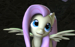 Size: 1280x800 | Tagged: safe, artist:whrrlr, fluttershy, g4, 3d, cute, female, shyabetes, solo, source filmmaker