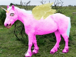 Size: 640x480 | Tagged: safe, artist:megelo, alicorn, pony, hoers, irl, nightmare fuel, photo, photoshop