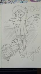 Size: 1024x1816 | Tagged: safe, artist:andy price, derpy hooves, pegasus, pony, g4, crossover, female, kermit the frog, male, mare, photo, traditional art
