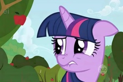 Size: 960x640 | Tagged: safe, screencap, twilight sparkle, pony, unicorn, applebuck season, g4, female, hub logo, hubble, lip bite, nose wrinkle, scrunchy face, solo, unicorn twilight