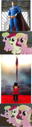 Size: 504x1956 | Tagged: safe, daisy, flower wishes, lily, lily valley, roseluck, g4, 4koma, brandon routh, comic, exploitable meme, flower trio, male, man of steel, reaction guys, reaction ponies, superman, superman returns