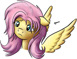 Size: 800x619 | Tagged: safe, artist:nedemai, fluttershy, pegasus, pony, g4, bust, female, floppy ears, looking away, looking down, mare, messy mane, sad, simple background, solo, spread wings, stray strand, three quarter view, white background, wings