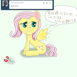 Size: 1000x1000 | Tagged: safe, fluttershy, g4, female, futtedoll, japanese, solo, tumblr