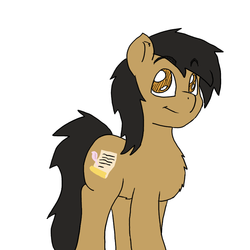 Size: 800x800 | Tagged: safe, artist:horseofpretense, oc, oc only, earth pony, pony, chest fluff, male, solo