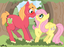 Size: 1776x1304 | Tagged: safe, artist:starcutx, big macintosh, fluttershy, earth pony, pony, g4, blushing, male, ship:fluttermac, shipping, stallion, straight