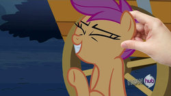 Size: 1920x1080 | Tagged: safe, scootaloo, human, g4, ear scratch, scootalove, scratching