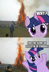 Size: 331x480 | Tagged: safe, twilight sparkle, g4, burning, cute, cute face, for the glory of satan, image macro, kumamon, reaction image, some mares just want to watch the world burn, twiface, tyrant sparkle, wrong neighborhood