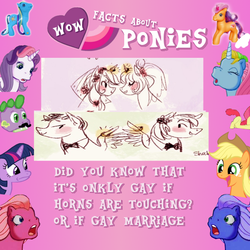 Size: 640x640 | Tagged: safe, facts, gay, male, marriage, parody