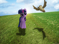Size: 2560x1920 | Tagged: safe, artist:colorfulbrony, owlowiscious, twilight sparkle, g4, field, lens flare, ponies in real life, shadow