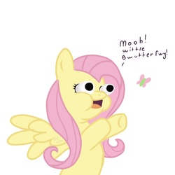 Size: 960x960 | Tagged: safe, artist:dertaii, fluttershy, butterfly, pegasus, pony, g4, 2013, bloodshot eyes, eye bulging, faic, female, mare, solo