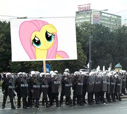 Size: 534x479 | Tagged: safe, fluttershy, human, g4, irl, irl human, march, photo, poland, police, polish