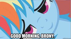 Size: 626x343 | Tagged: safe, rainbow dash, g4, bedroom eyes, bronybait, female, image macro, messy mane, morning ponies, solo