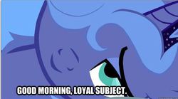 Size: 626x349 | Tagged: safe, princess luna, pony, g4, bedroom eyes, bronybait, caption, female, image macro, looking at you, mare, messy mane, morning ponies, s1 luna, solo