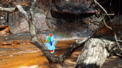 Size: 4608x2592 | Tagged: safe, artist:bushinio, rainbow dash, g4, ponies in real life, rock, sitting, vector, waterfall