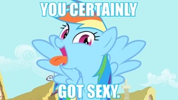 Size: 1280x720 | Tagged: safe, rainbow dash, g4, female, garzey's wing, image macro, quote, silly, solo, text, tongue out
