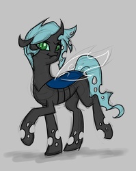 Size: 1794x2255 | Tagged: safe, artist:valkyrie-girl, oc, oc only, oc:ghost, changeling, fanfic:the successors, fanfic, fanfic art, female, gray background, simple background, solo, walking