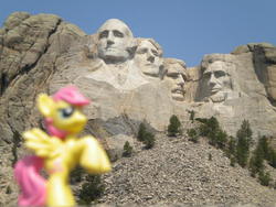 Size: 640x480 | Tagged: safe, artist:blitz11, fluttershy, g4, figure, irl, mount rushmore, photo, ponies around the world, south dakota, toy