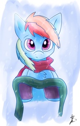 Size: 854x1346 | Tagged: safe, artist:ponilaminator, rainbow dash, g4, chest fluff, clothes, female, scarf, solo