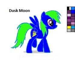 Size: 251x201 | Tagged: safe, artist:kawaiidesudesune, oc, oc only, pegasus, pony, dusk moon, pegasus oc, recolor, solo, wings