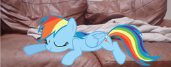 Size: 900x351 | Tagged: safe, artist:pony-photography, rainbow dash, g4, clothes, couch, irl, photo, ponies in real life, sleeping, solo, sweater, vector