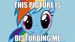 Size: 1023x575 | Tagged: safe, rainbow dash, g4, female, image macro, reaction image, smiling, solo