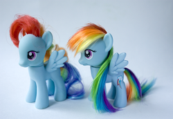 Size: 619x426 | Tagged: safe, rainbow dash, g4, comparison, customized toy, female, irl, photo, toy