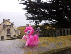 Size: 3264x2448 | Tagged: safe, artist:aeniug2, pinkie pie, g4, alcatraz, irl, photo, ponies around the world, toy