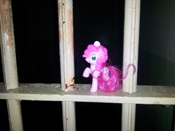 Size: 3264x2448 | Tagged: safe, artist:aeniug2, pinkie pie, g4, alcatraz, irl, photo, ponies around the world, toy