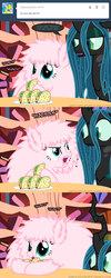 Size: 650x1625 | Tagged: safe, artist:mixermike622, queen chrysalis, oc, oc:fluffle puff, tumblr:ask fluffle puff, g4, ask, eating, golden oaks library, hissing, ponies eating meat, taco, tumblr