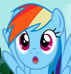 Size: 582x610 | Tagged: safe, screencap, rainbow dash, pegasus, pony, g4, may the best pet win, :o, cropped, face, faic, female, mare, solo