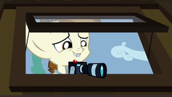 Size: 1152x649 | Tagged: safe, screencap, featherweight, g4, ponyville confidential, camera, male, solo
