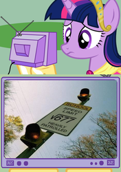 Size: 564x800 | Tagged: safe, twilight sparkle, alicorn, pony, g4, exploitable meme, female, mare, math, school, sign, tv meme, twilight sparkle (alicorn)