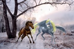 Size: 800x526 | Tagged: safe, artist:mistysteel, derpy hooves, doctor whooves, time turner, horse, pegasus, pony, g4, female, hoers, horse-pony interaction, irl, irl horse, mare, photo, photoshop, ponies in real life, realistic, recolored hoers