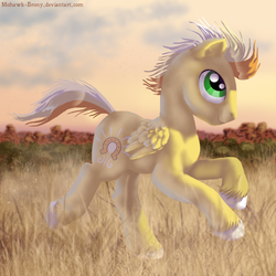 Size: 800x800 | Tagged: safe, artist:mohawkmax, oc, oc only, oc:sun runner, pegasus, pony, male, solo, stallion