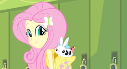 Size: 1904x1039 | Tagged: safe, angel bunny, fluttershy, bird, cat, equestria girls, g4, my little pony equestria girls