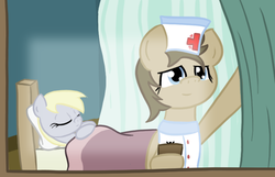 Size: 700x450 | Tagged: safe, artist:lilliesinthegarden, derpy hooves, doctor whooves, time turner, pegasus, pony, g4, bed, clipboard, curtains, female, hospital, mare, nurse turner, pregnant, sleeping